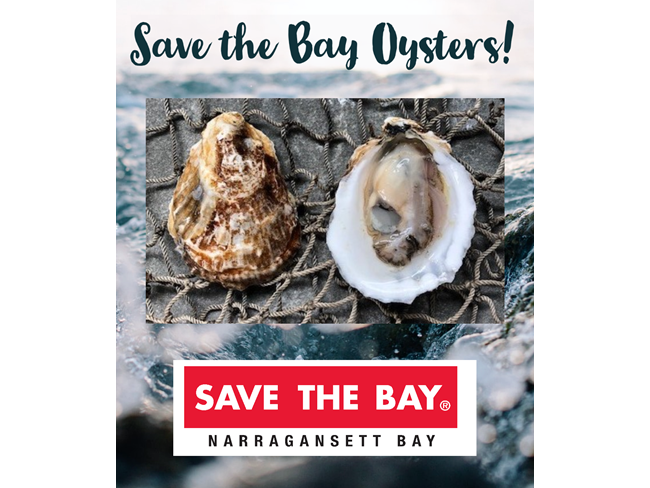 Save the Bay® Oysters - 100ct